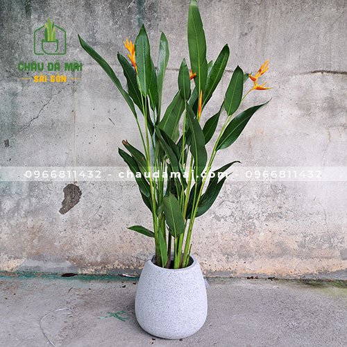 Chậu đá mài hình túi 38x38cm