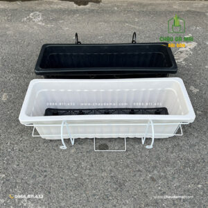 Chậu nhựa trồng cây