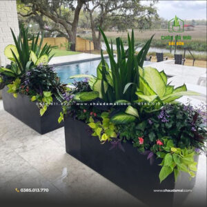 Giá Chậu Xi Măng Đá Mài Tại Sài Gòn 6