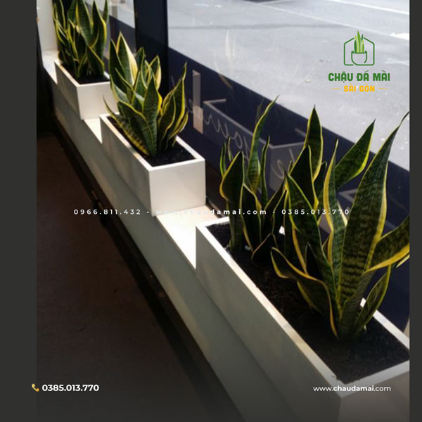 Chậu Đá Mài Cao Cấp Sài Gòn: Đẳng cấp và sang trọng cho không gian sống 3 Chậu Đá Mài Cao Cấp Sài Gòn: Đẳng cấp và sang trọng cho không gian sống 2