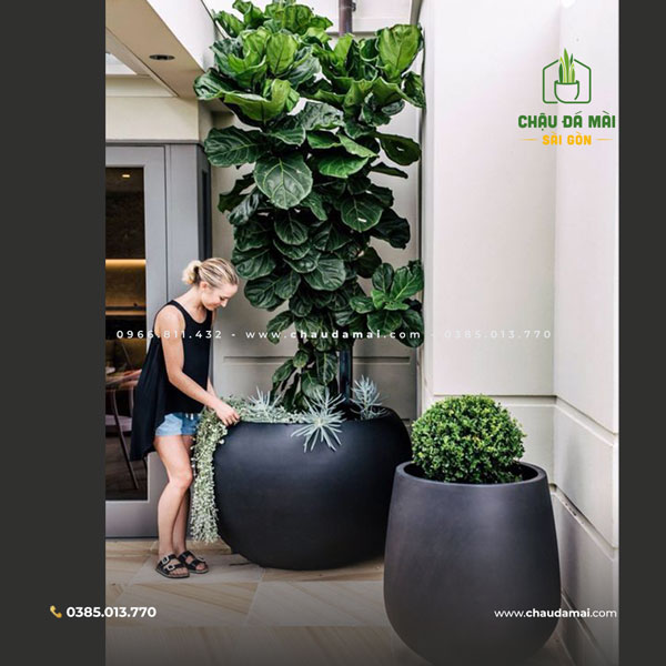 Kích thước chậu xi măng đá mài - Đa dạng lựa chọn, phù hợp mọi không gian 2