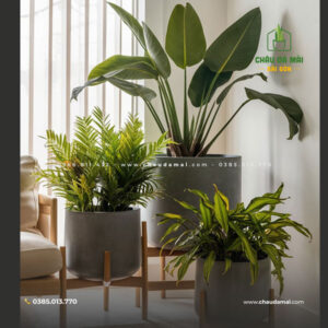 Chậu Đá Mài Cao Cấp Sài Gòn: Đẳng cấp và sang trọng cho không gian sống 1