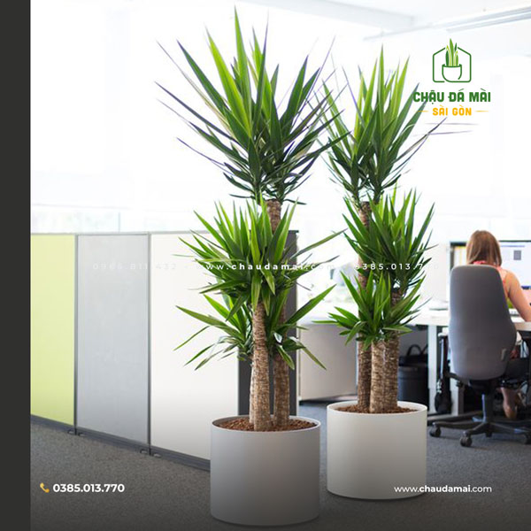 Chậu Đá Mài Cao Cấp Sài Gòn: Đẳng cấp và sang trọng cho không gian sống 2 Chậu Đá Mài Cao Cấp Sài Gòn: Đẳng cấp và sang trọng cho không gian sống 1