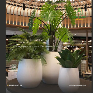 Kích thước chậu xi măng đá mài - Đa dạng lựa chọn, phù hợp mọi không gian 4