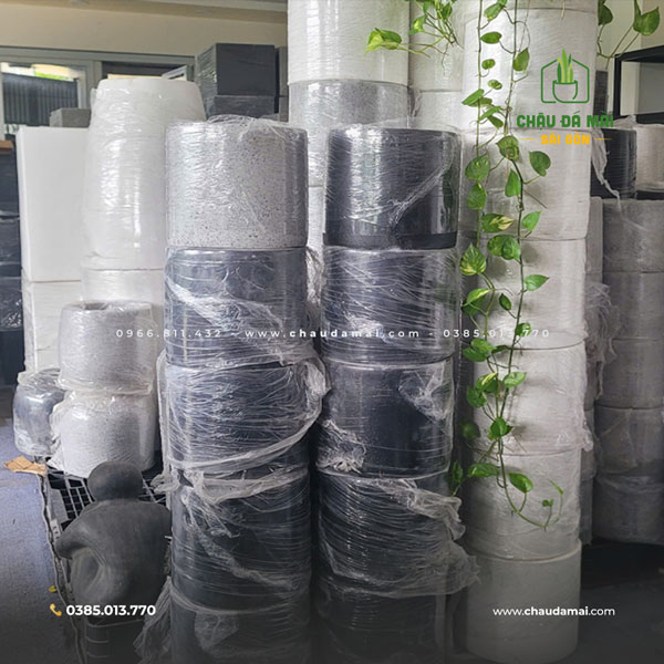 Chậu Xi Măng Đá Mài Trồng Cây Tại Sài Gòn 3 Chậu Xi Măng Đá Mài Trồng Cây Tại Sài Gòn 2