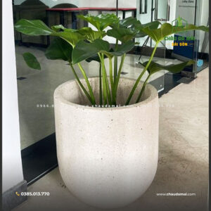 Chậu Đá Mài Giá Rẻ Sài Gòn - Lựa Chọn Hoàn Hảo Cho Không Gian Xanh 2