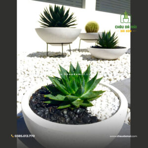 Chậu Đá Mài Giá Rẻ Sài Gòn - Lựa Chọn Hoàn Hảo Cho Không Gian Xanh 1