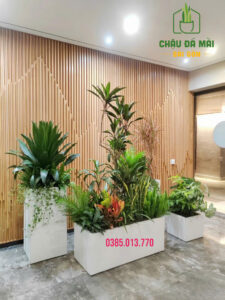 Chậu xi măng đá mài vs chậu xi măng truyền thống: Nên chọn loại nào? 2