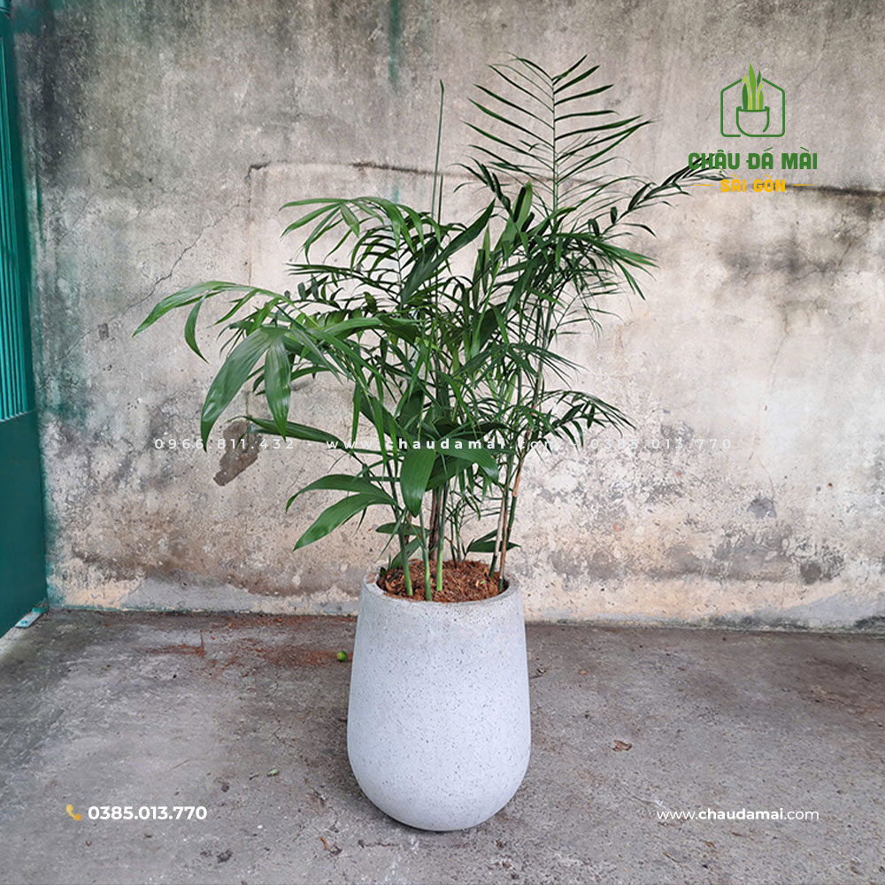 chậu đá mài giọt nước