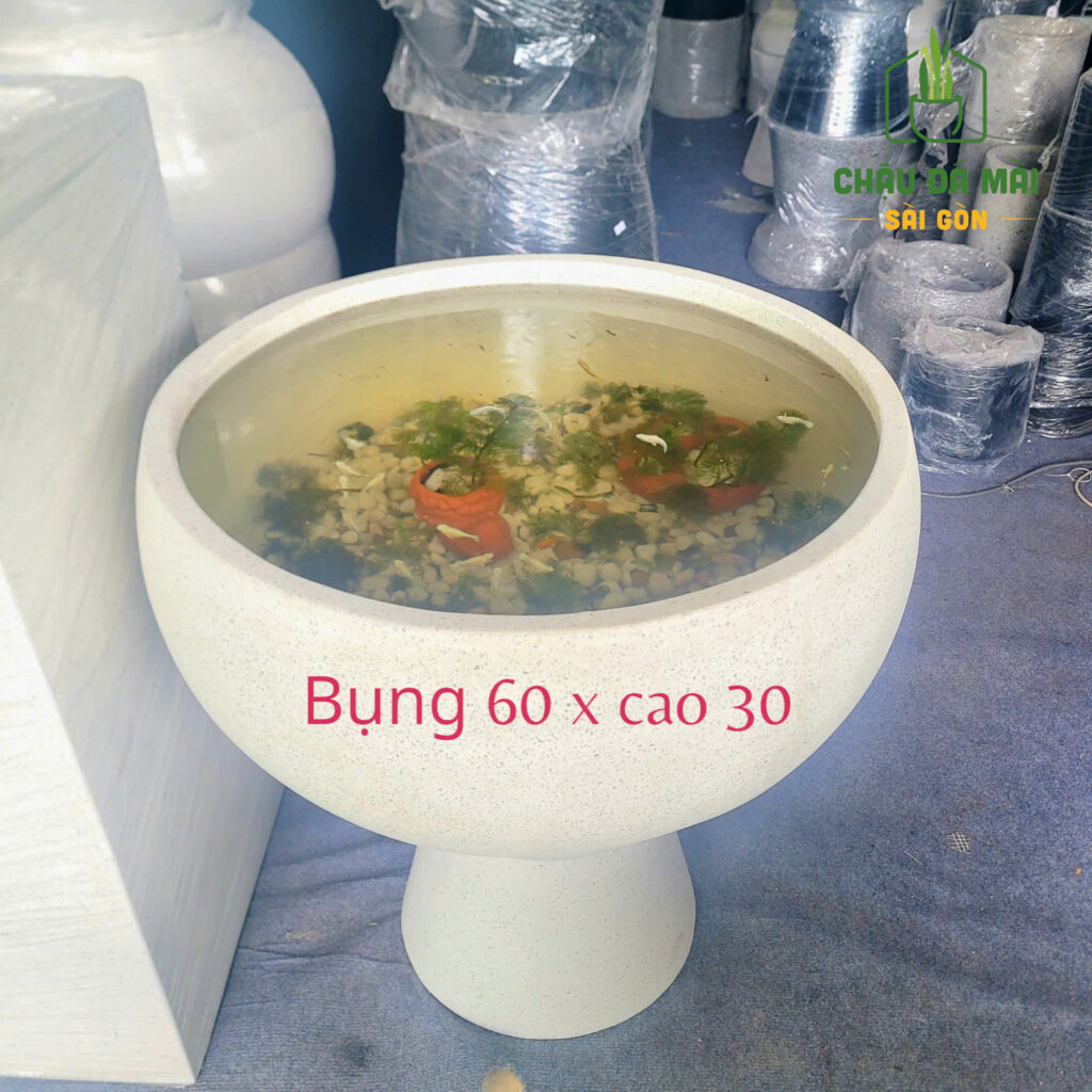 nuôi cá bằng chậu xi măng đá mài