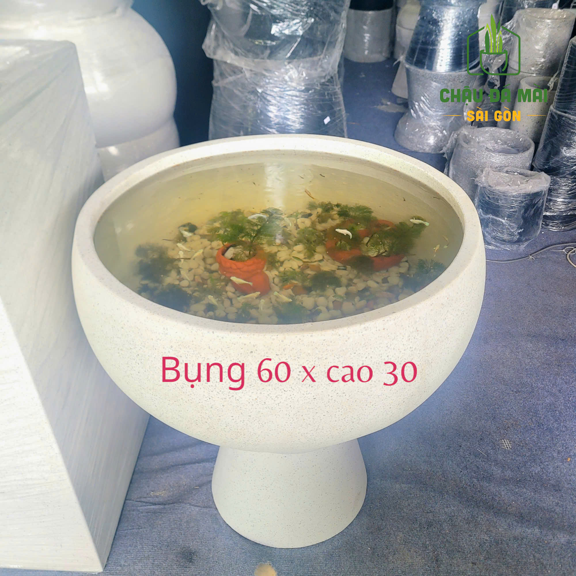 chậu xi măng đá mài nuôi cá